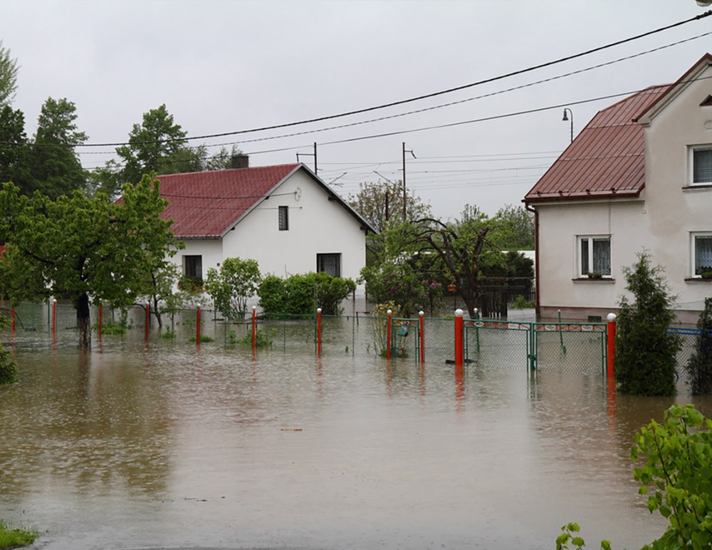 Cost-Effective-Water-and-Fire-Damage-Restoration-with-Ultrasonic-Cleaning